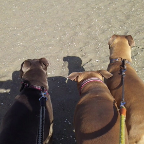 Run❤Run❤Run❤の画像