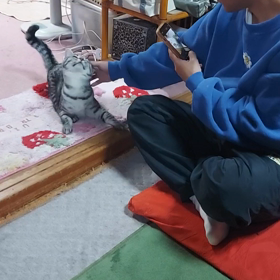 我が家のは、誰でもwelcome(*^^*)♪の画像