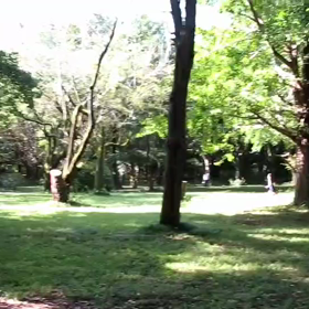 9月5日 400インターバル中間点④の画像