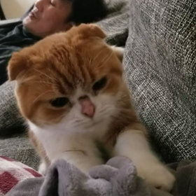 *ルナセラピスト*の画像