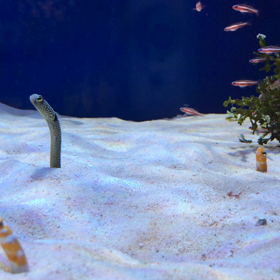 パレット美術教室名古屋駅ゲリラ豪雨の平和な午前中の画像