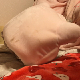 にゃんこハウスの正しい？使い方ナンバー2の画像