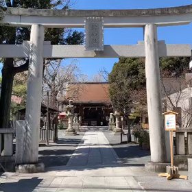 お散歩の記録の画像