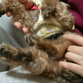 マッサージで寝おちの画像