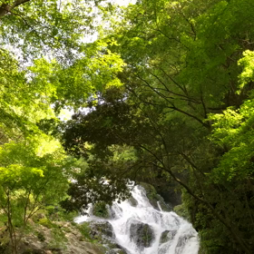 自然の音(528ヘルツ）の画像