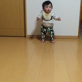 ザ・ヨチヨチの画像