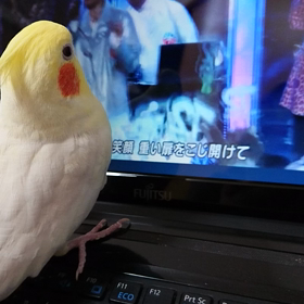 あれれ、好きなの？の画像