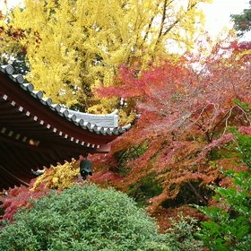 たまにはの画像