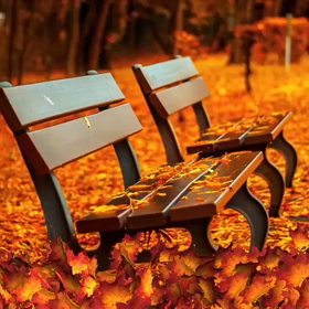 次回11/5【体験談シェア会】 午前の部の画像