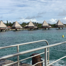 メトル島でジャンプ！の画像