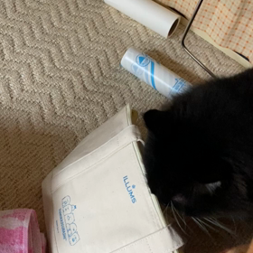 無理だね(ヾﾉ･∀･`)ﾑﾘﾑﾘの画像