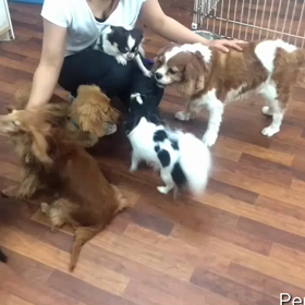 わらわらの画像