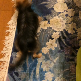 クリスマスに欲しいものの画像