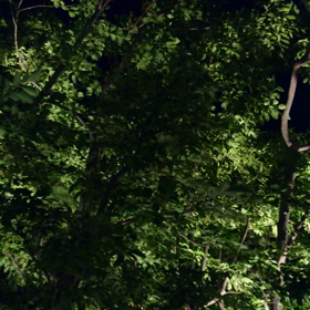 動画30秒の画像