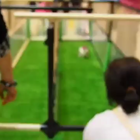 名前呼びレースの様子。の画像