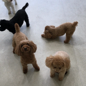 ♪プレイルーム動画♪③の画像