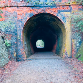 千と千尋の神隠しの画像