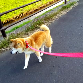 おはよぉ〜☀ハレルヤ*\(^o^)/*ありがたい❣の画像