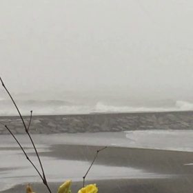 7月28日千葉北、東浪見の朝の波の画像