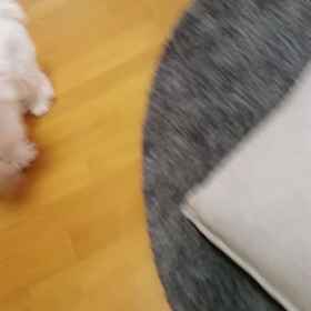 喜びの舞の画像