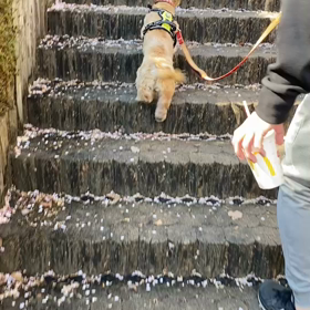 久々のブログ。の画像