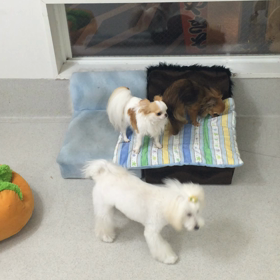 ♪プレイルーム動画♪の画像