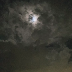 中秋の名月の画像