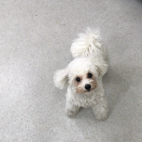 ♪プレイルーム動画♪③の画像