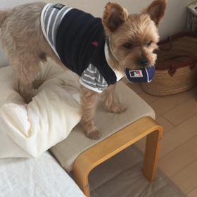 追っかけっこ…❔の画像