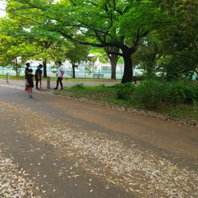 リレー選考会(男子)スタート付近⑩の画像