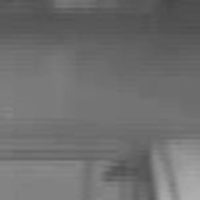 モラルなき飼い主。どちらさん？家は何処？の画像