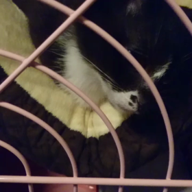 れいちゃんの首筋の画像