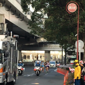 お久しぶりですの画像