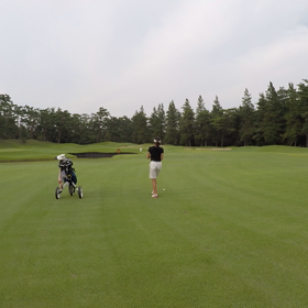 夏松カン(その壱)の画像