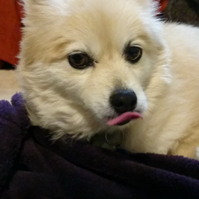 今日の天気は、ちょっと激しかったの画像