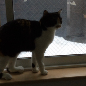 上を見上げるのでの画像