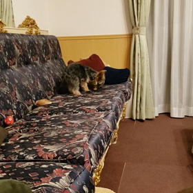 ホリホリサンちゃんの画像