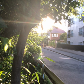 小さいやつ／動画の画像
