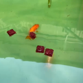 ああ、、、乳腺炎の画像