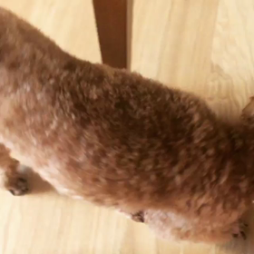 キーくん♡Instagramの画像