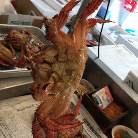 魚たけ毛ガニ祭りの画像