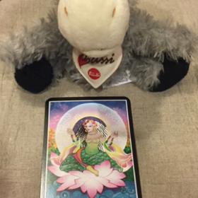 私の夢は叶いますか？？の画像