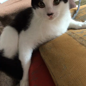 皐月くんにあってきました☺️の画像