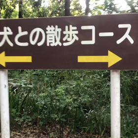 ♪お散歩動画♪砧公園♪の画像