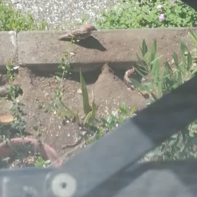 決定的瞬間！の画像