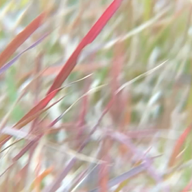 ガイドの無い日はの画像