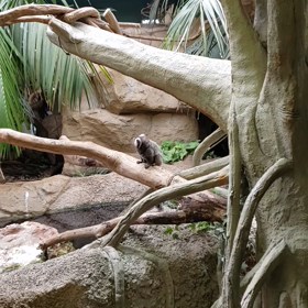 密だったの画像