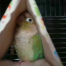 朝ですよーの画像