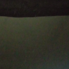 凄い降ってる…の画像