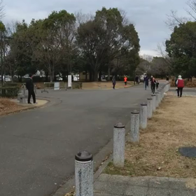 川越 長距離記録会1500m １組目⑧の画像
